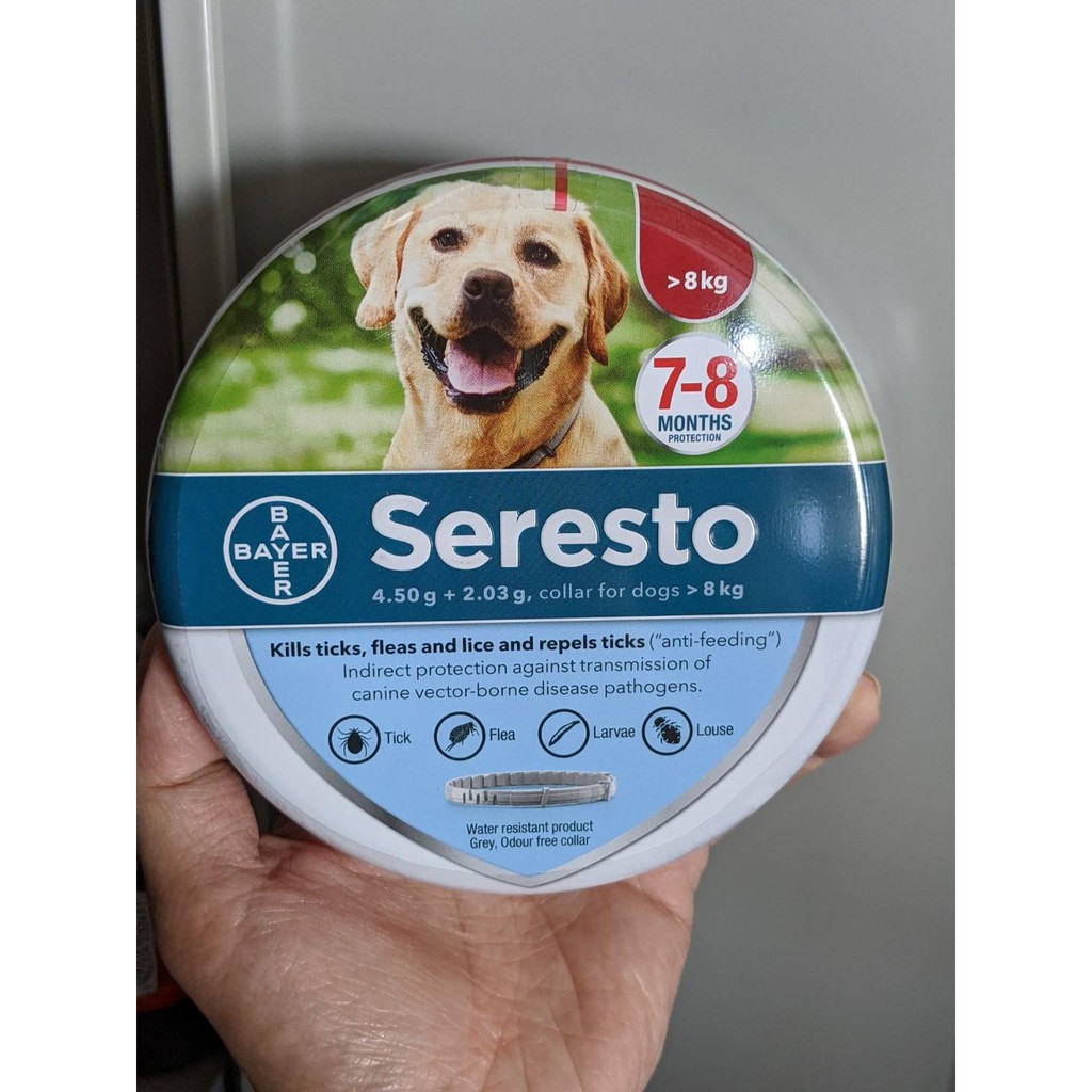 Eight month flea collar hotsell