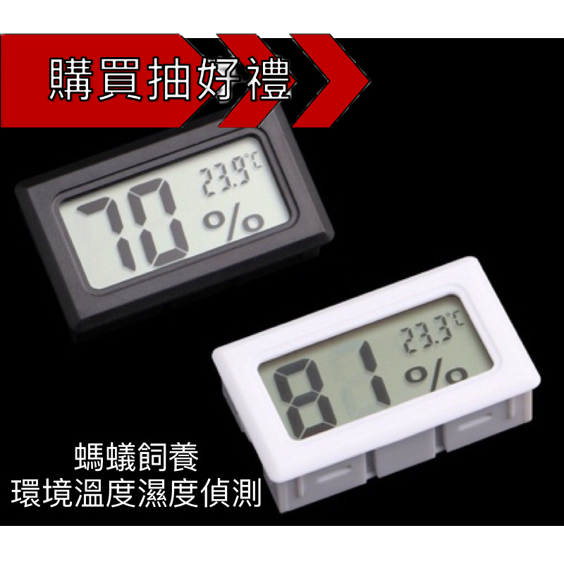 Breeding Ambient ThermoHygrometer (Breeding Ants, Ants Feed, Nest
