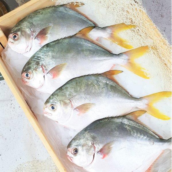 Seafood Market Place by Song Fish, Online Shop Aug 2026 | Shopee Singapore