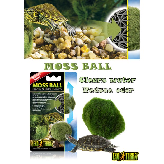  Exo Terra Moss Ball, Water Clarity and Odor Control