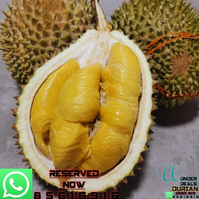 MSW Fresh Durian pack in box 400g vacuum sealed | Shopee Singapore