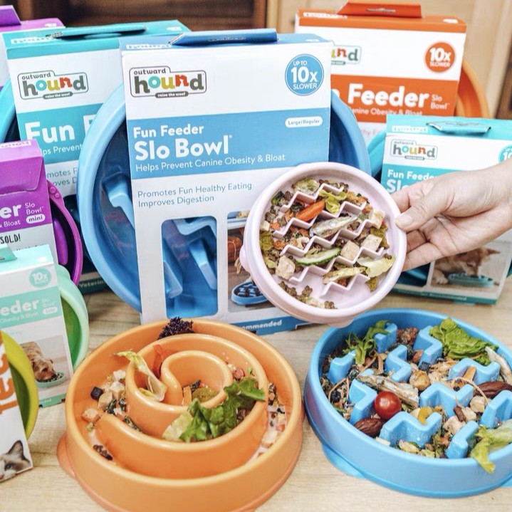Outward Hound Slow Feeder For Dogs & Cats (3 Sizes) Shopee Singapore