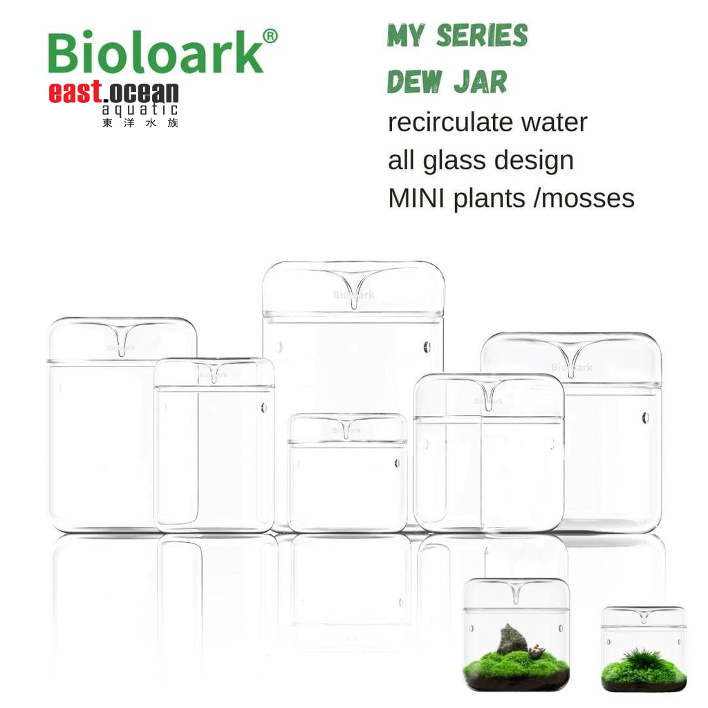 BIOLOARK Dew glass cup (micro terrarium) MY Series Shopee Singapore