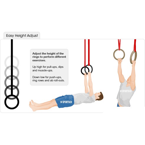 Gymnastic rings back workout outlet