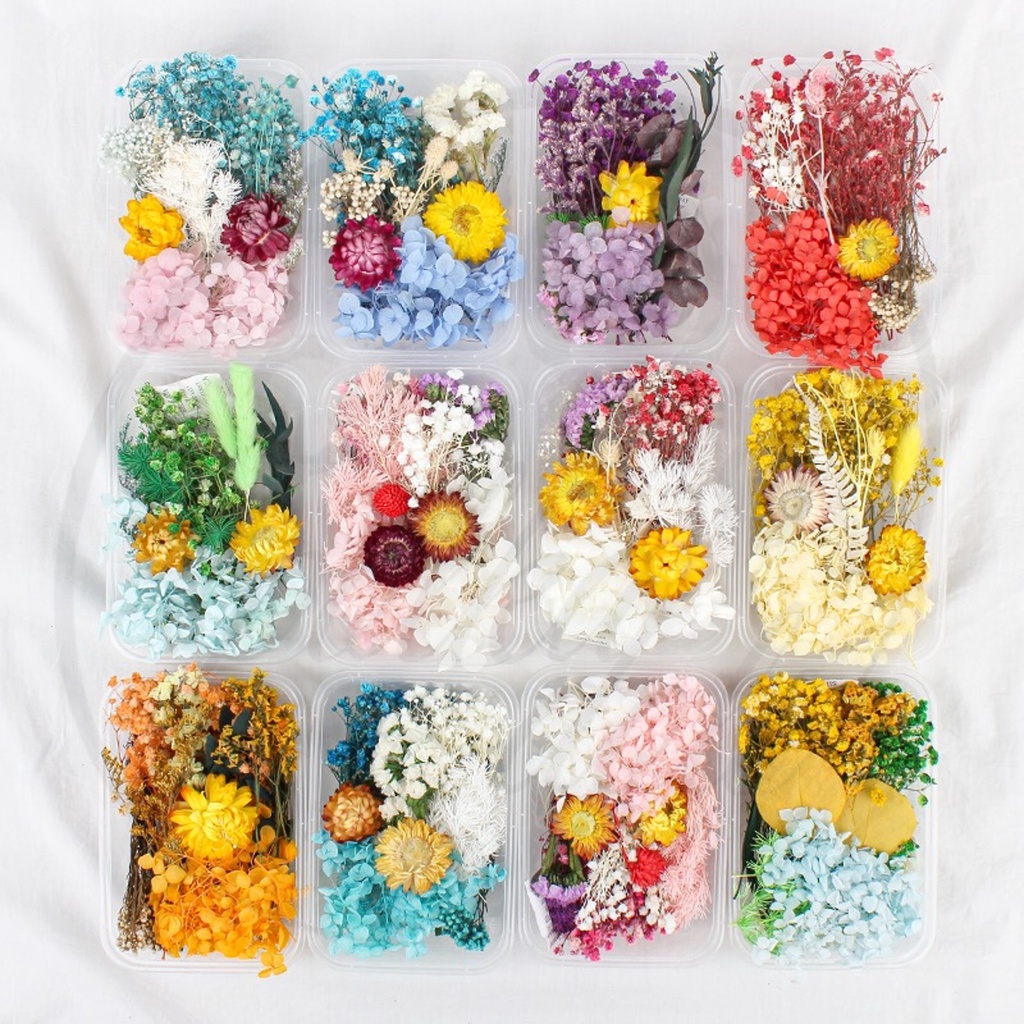 [SG] Dried Flower Box Set | Preserved Mixed Flowers | Flower Frame Craft