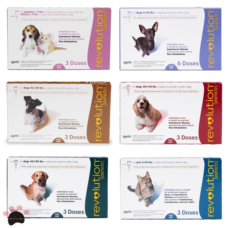 Pet supply store heartworm revolution dogs