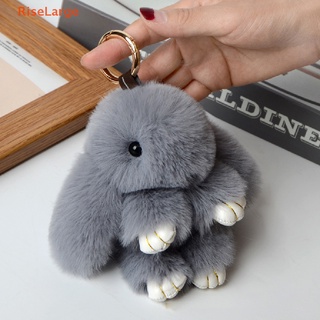 Real Rabbit Fur Bag Charm Key Chain Cute Little Fox Pendant Ins Doll Bag  Pendant Women Cute Car Keychain Real Fur Birthday Gift