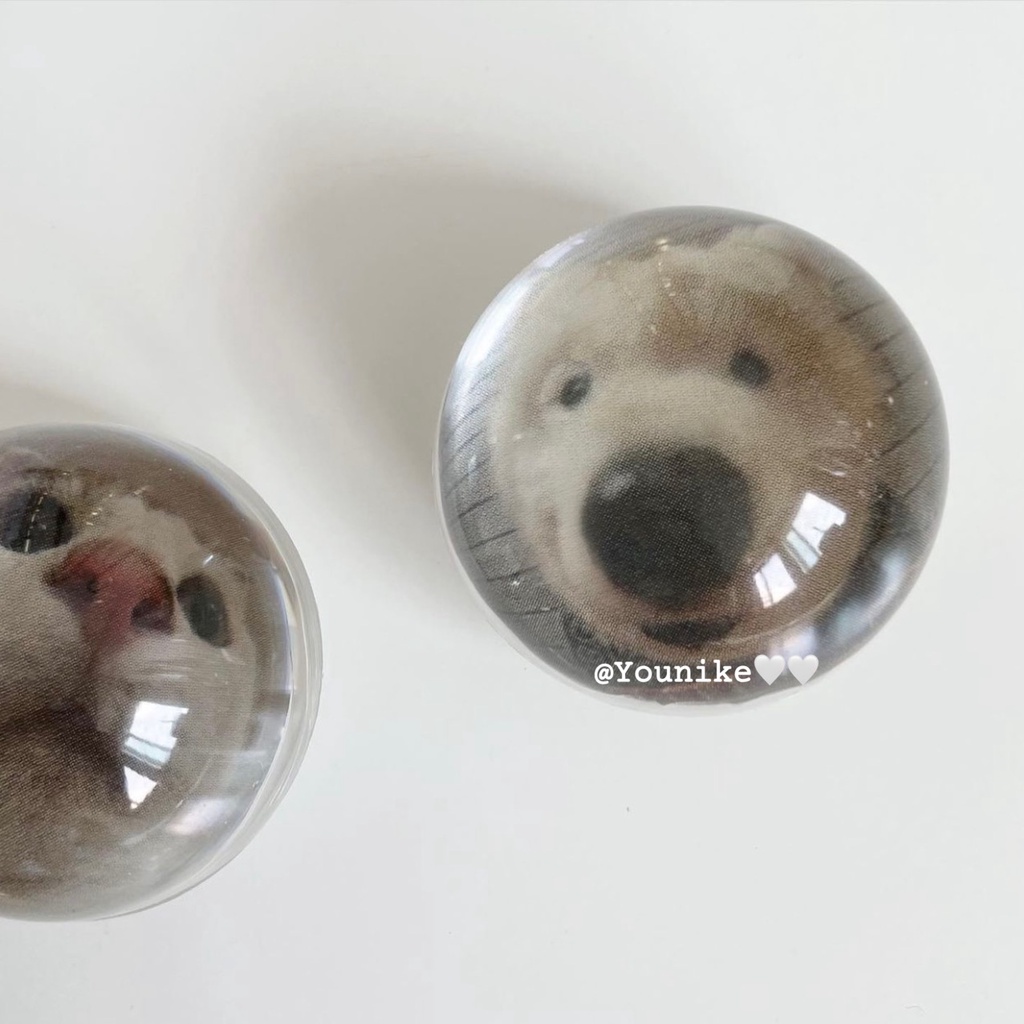 Homemade ins Super Hot Cute Puppy Cat Pattern Crystal Glass Ball Cartoon Mobile Phone Holder Desktop Retractable Lazy Bracket Niche Korean Style