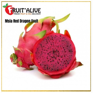 DRAGON FRUIT IN STOCK / KAIDO FRUIT - BLOX FRUITS ( ROBLOX ) 