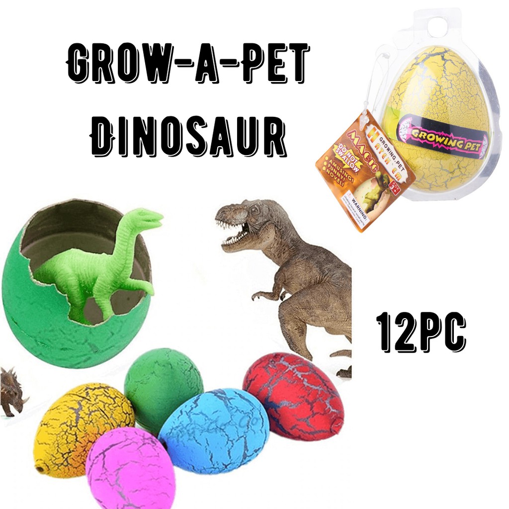 Dinosaur egg growing pet clearance