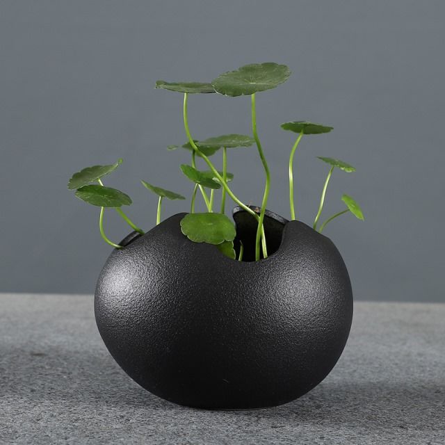 Plant Flower Pot minimalism circular Planter Home Garden Decor/Simple ...