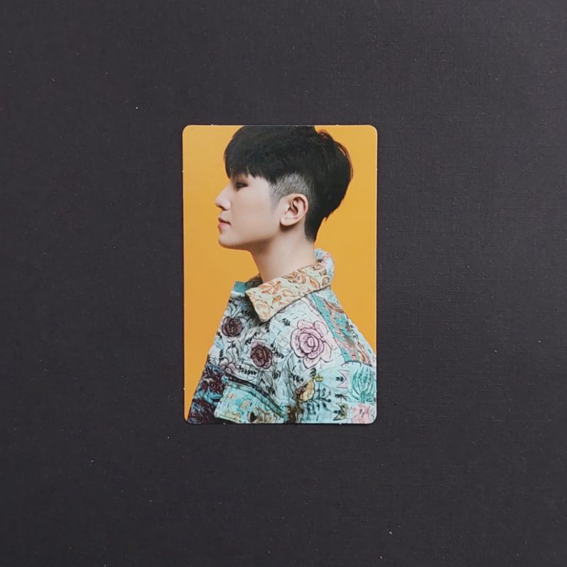 Ready] Official Seventeen Woozi Ruby Trading Card TC | Shopee