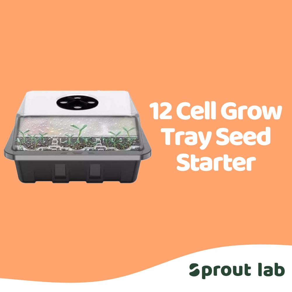Sprout lab | PP Seedling Seed Starter Tray with Lid (Single/5 Pack) 12 ...