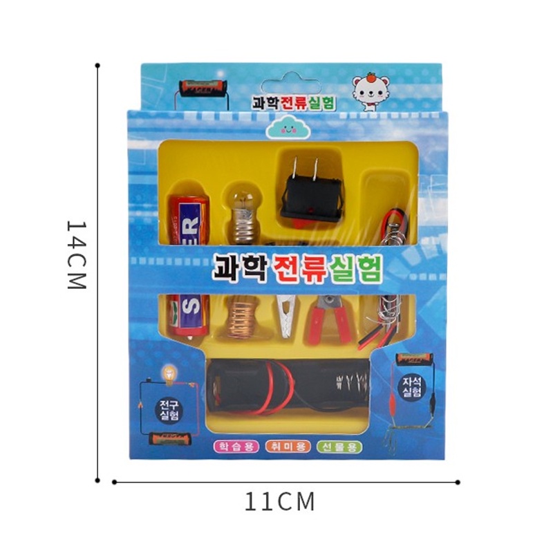 GIFTED EDUCATION Light Bulb Electric Circuit Physics Science Experiment ...