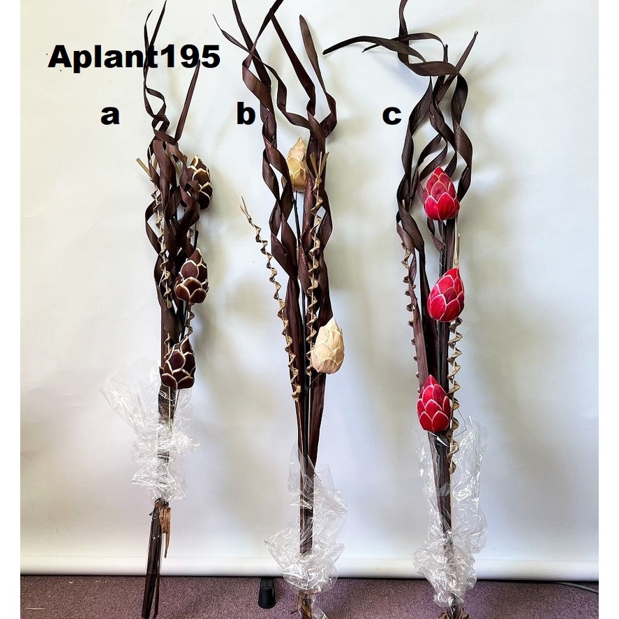 Decorative Sticks for flowers, arrangement, home décor, decoration Aacc915