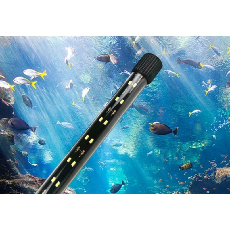 Fish Aquarium light. 3 to 6 feet Arowana Light. Super Bright. Light ...