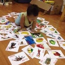 Smart learning card set with 16 topics and 416 bilingual English ...