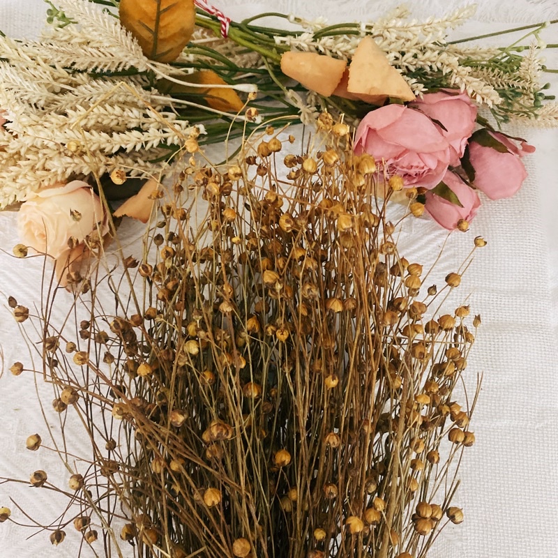 Hamster sprays Flax seed sprays Shopee Singapore