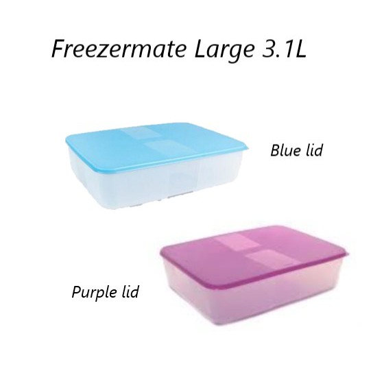 Tupperware Freezermate Large II 3.1L | Shopee Singapore