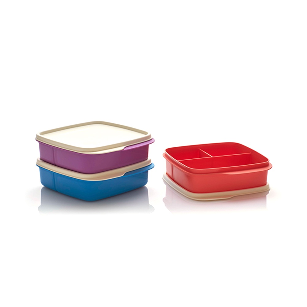Tupperware Lunch Box 1pcs Lolly Tup White Lid | Shopee Singapore
