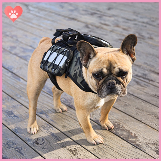 Dog training outlet backpack