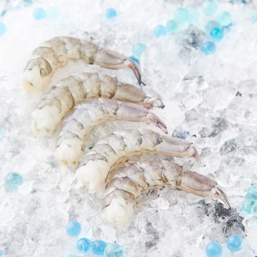 Fresh XL Peeled Glass Prawns [Approx 100g] | Shopee Singapore