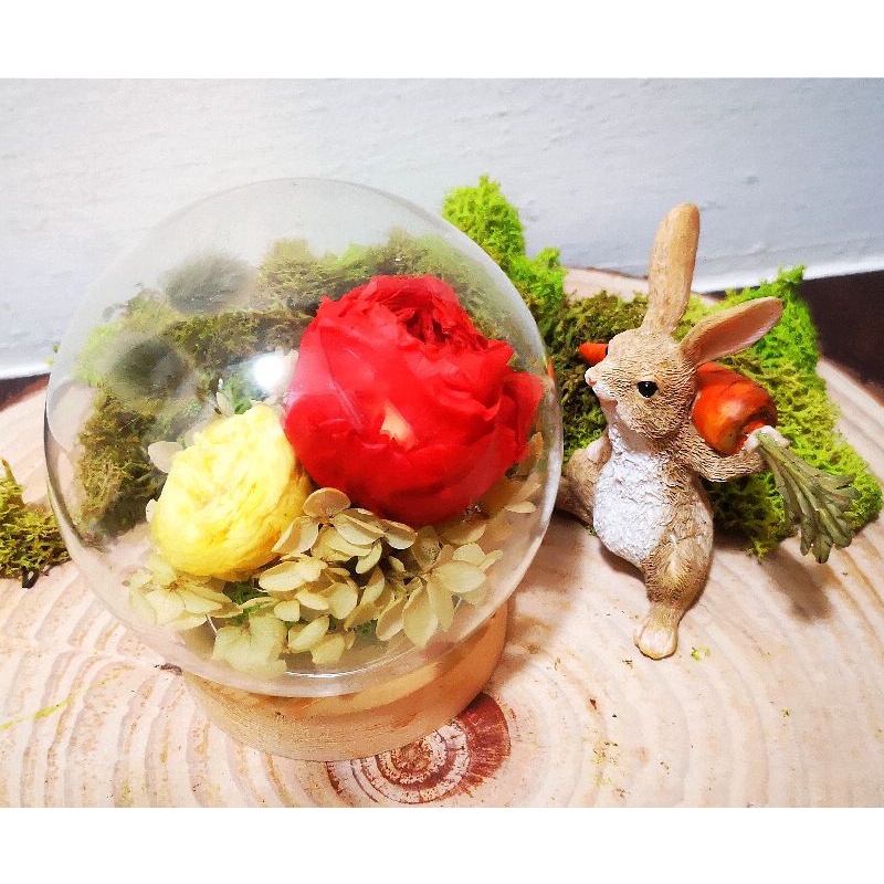 preserved Flowers in glass dome small Shopee Singapore