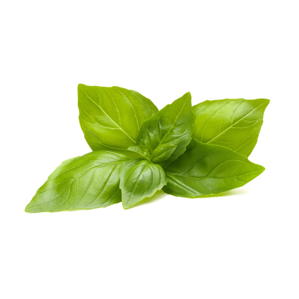 Lemon Basil Plant Pods 3 Pack Shopee Singapore