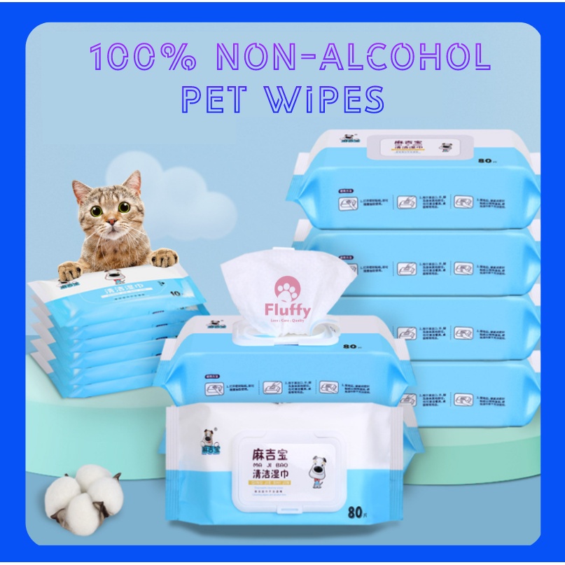 Guinea pig outlet wipes