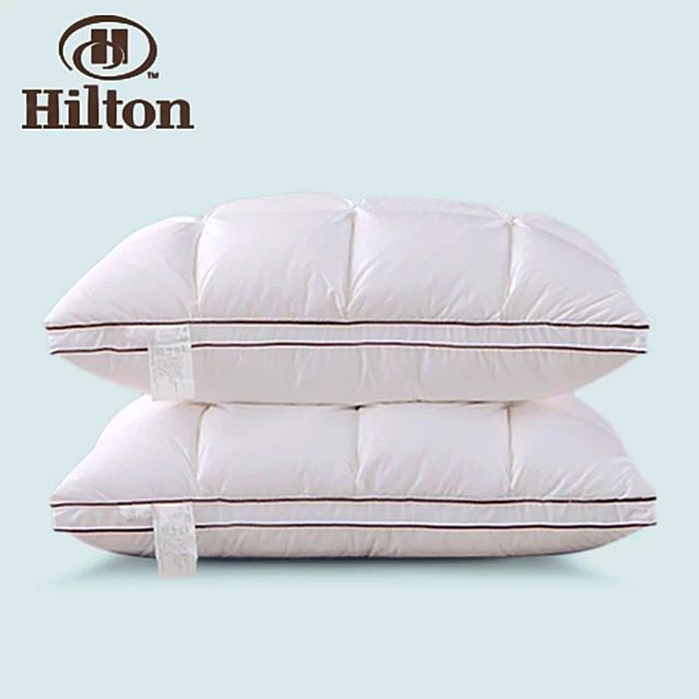 Hotel white goose sales down pillow