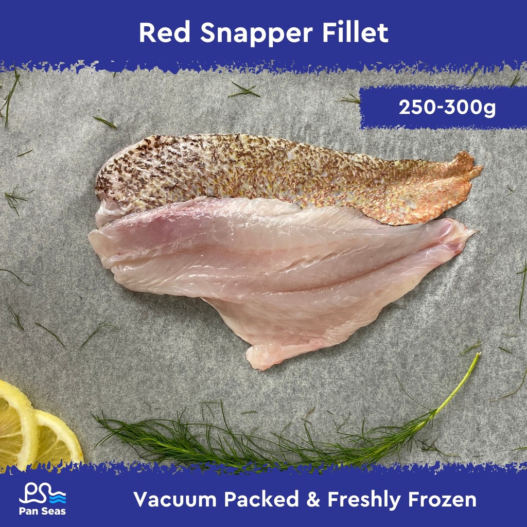 Red Snapper Fillet (200-250g | Vacuum packed) | Shopee Singapore