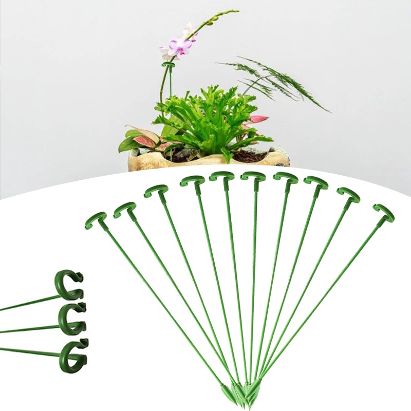 10X Garden Plant Flower Support Rod Succulents Butterflies Orchid Stand ...