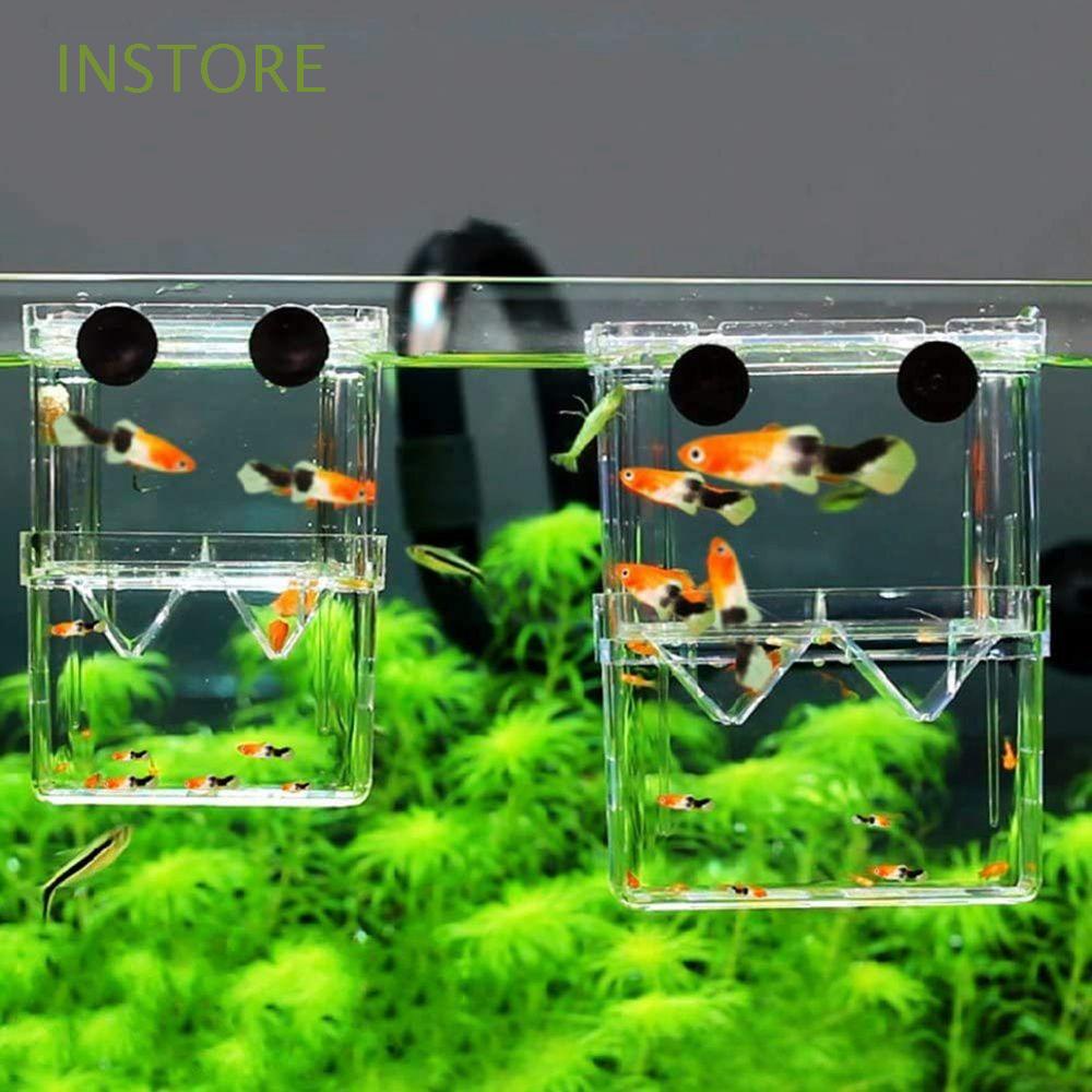 Aazon.co : DGZZI Suction Cup Holder 12PCS White Aquariu Fish Tank