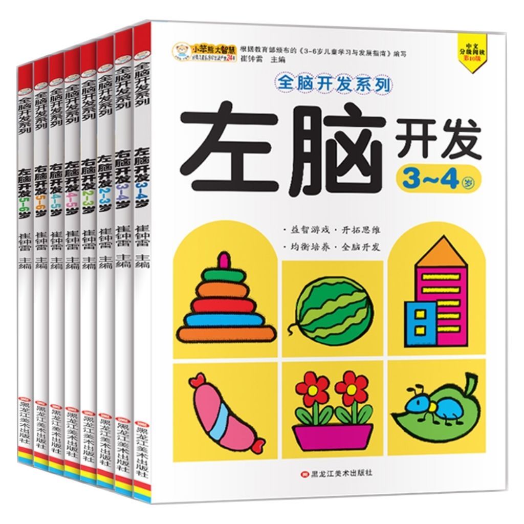 Left Right brain training pinyin 拼音Chinese activity book for 