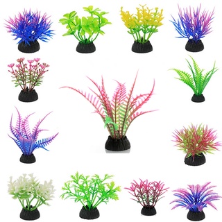 Buy aquarium plant Products At Sale Prices Online - March 2024