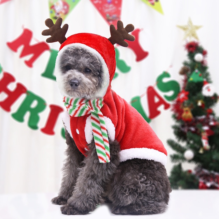 XS 2XL Dog Pet Clothes Happy New Year Dog Clothes Small Dogs Santa Costume for Pug Chihuahua Yorkshire Pet Cat Clothing Costume Christmas Shopee Singapore