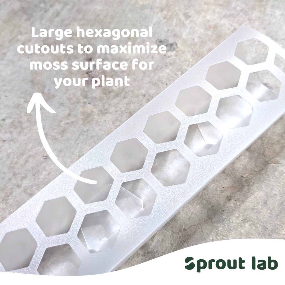 Sprout lab | Plant Climbing Pole for Aroids | Growing pole | Moss Pole ...