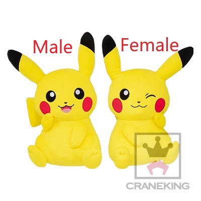 Pair of Male Female Pikachu Plush Pokemon FOCUS