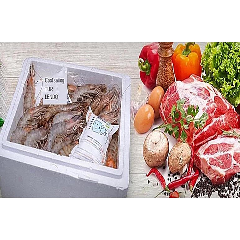 Ice Pack - Keep Food Fresh and Beverage for Shipping Frozen Food Cold ...