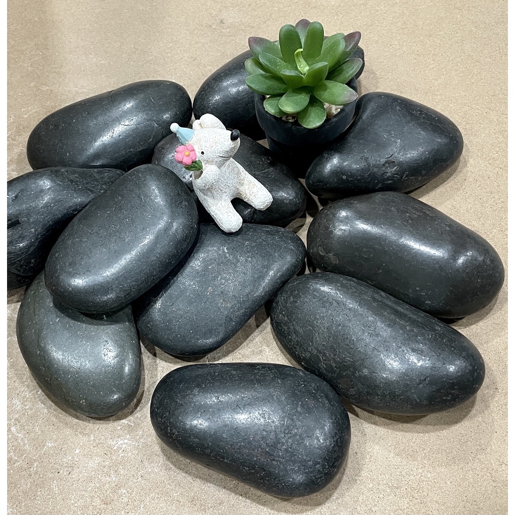 Buy pebbles Products At Sale Prices Online - July 2026 | Shopee Singapore