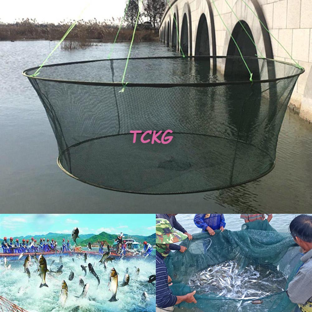 TG Foldable Drop Net Fishing Landing Prawn Bait Crab Shrimp Pier Harbour  Pond Mesh @sg