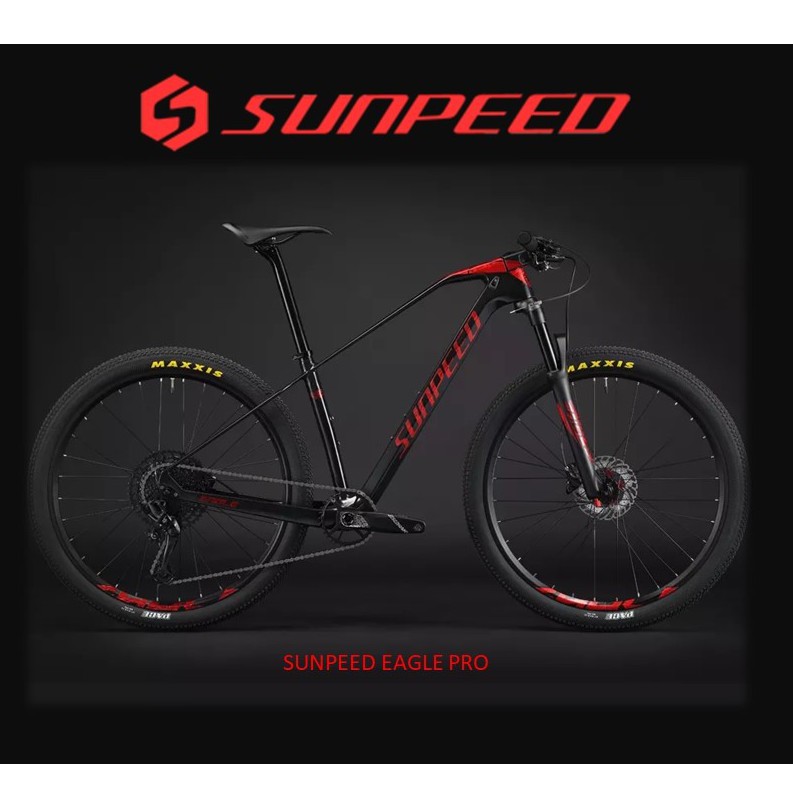 Sunpeed on sale carbon frame