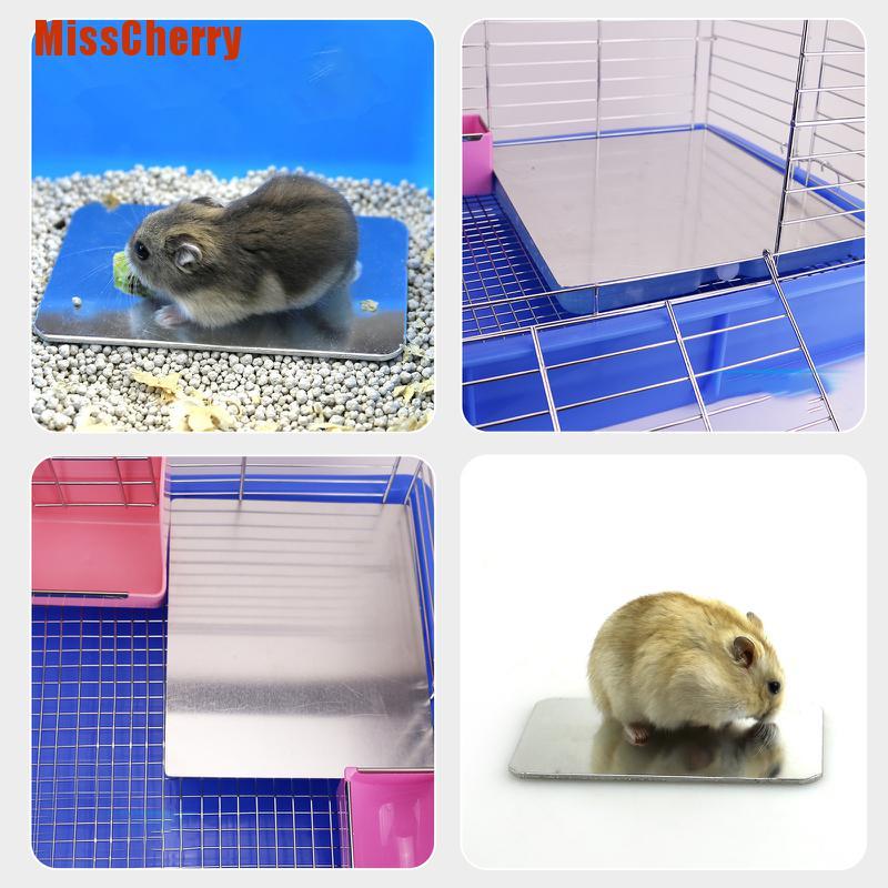 Hamster 2024 cooling pad