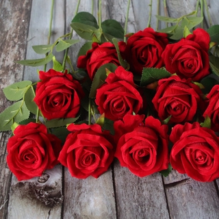 single rose bouquet - Prices and Deals - Jan 2024