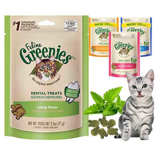 GREENIE DENTAL CAT TREAT Cat Dental Treat Chew Feline Bad Breath Shopee Singapore