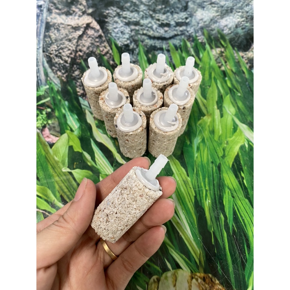 OXY Cylindrical oxygen bubbler - Cylindrical sesame bubbler 5*2cm ...