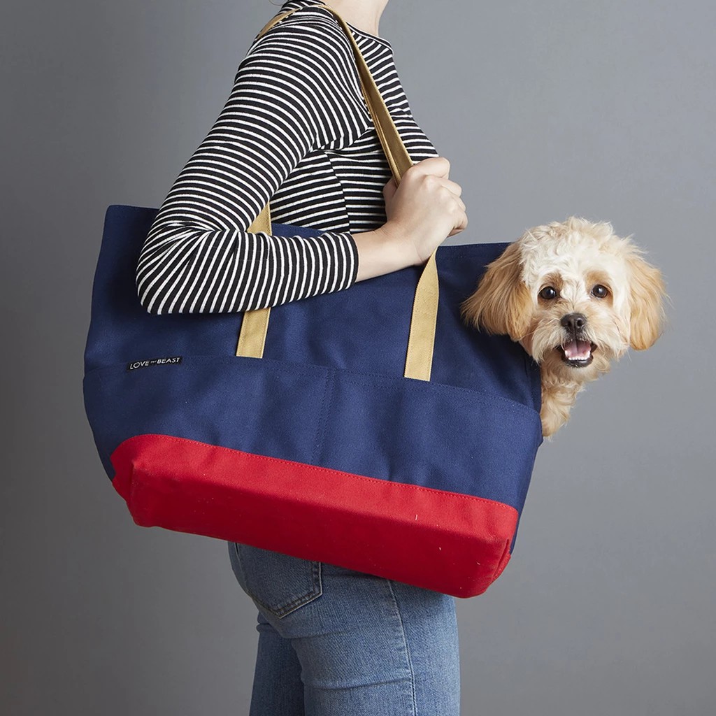 Canvas best sale pet tote