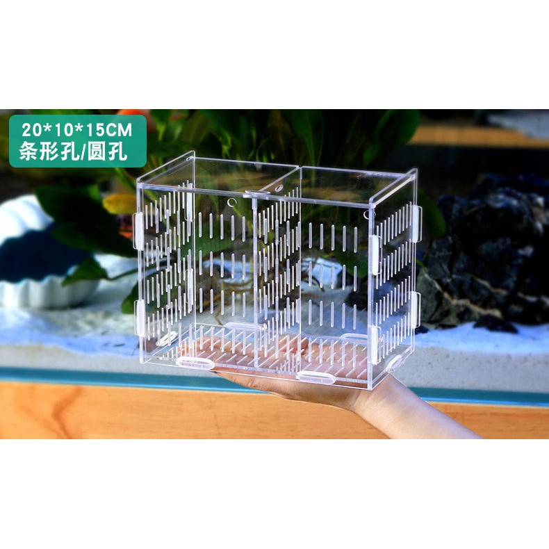 ZooG Holding Acrylic Isolation Box (Double Partition) | Shopee Singapore