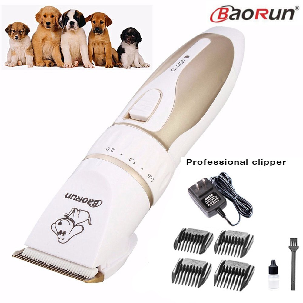 Electric razor outlet for pets