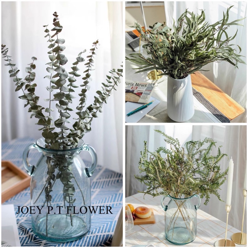 [SG READY STOCKS] Preserved Flower Wholesaler：Dried (Eucalyptus, Apple